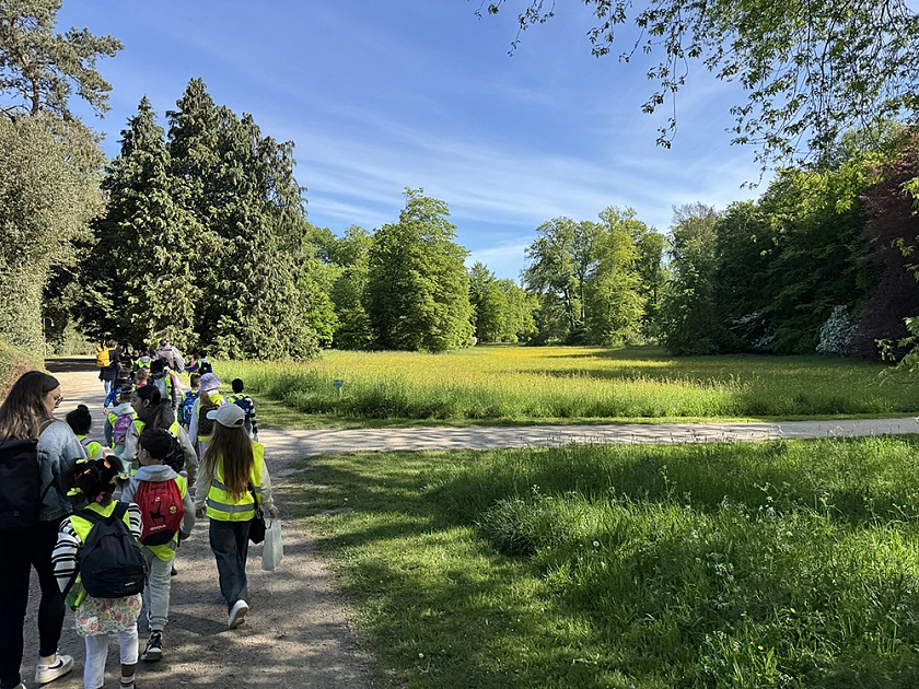 Schulklassen wandern durch den Bürgerpark