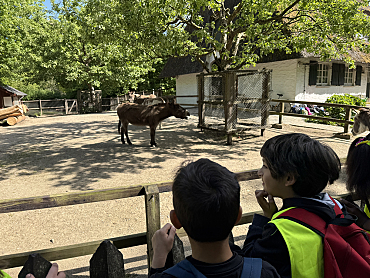 Kinder besichtigen das Tiergehege
