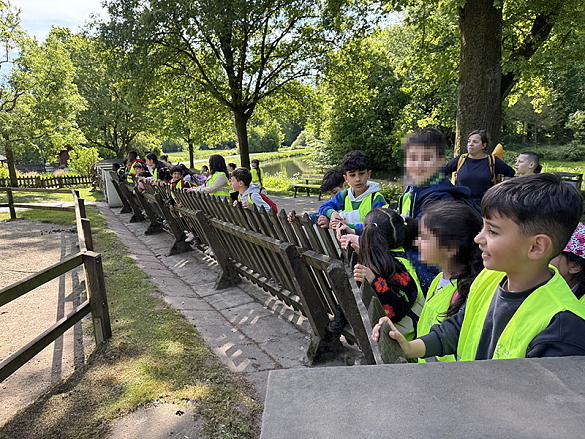 Kinder besichtigen das Tiergehege