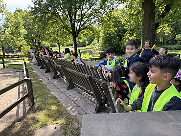 Kinder besichtigen das Tiergehege