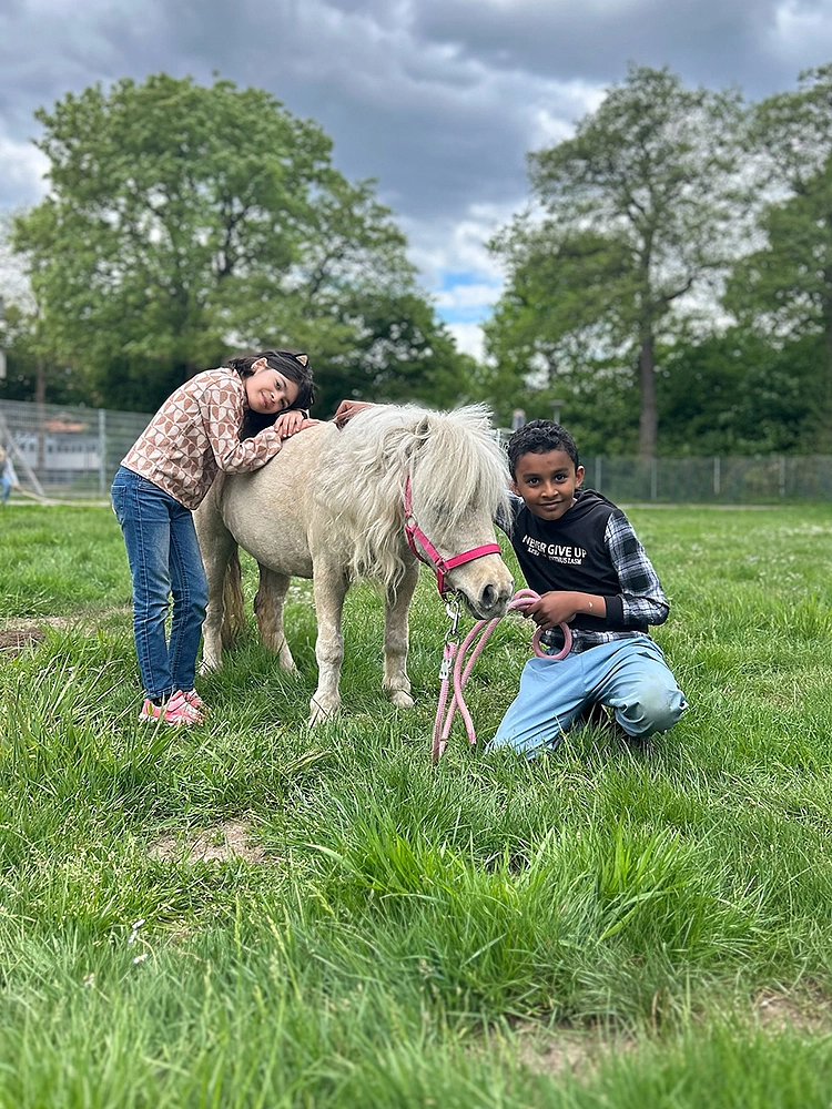 Schüler:innen kümmern sich um ein Pony