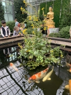 Koi-Fütterung zum Abschluss des Ausflugs