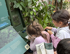 Schülerinnen und Schüler besichtigen die Botanika
