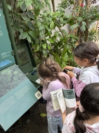 Schülerinnen und Schüler besichtigen die Botanika
