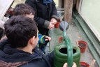 Schüler:innen beim Gartenprojekt