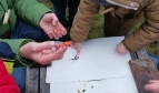 Schüler:innen beim Gartenprojekt