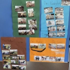 Die Tiere vom Kinderbauernhof