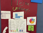 Diagramme zu Umfragen vom Mathe-Forderlabor