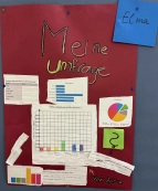 Diagramme zu Umfragen vom Mathe-Forderlabor