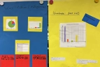 Diagramme zu Umfragen vom Mathe-Forderlabor