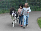 Kinder führen ein Pony aus