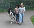 Kinder führen ein Pony aus