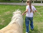 Wir führen die Ponys aus