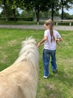 Wir führen die Ponys aus