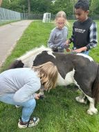 Wir kümmern uns um die Ponys
