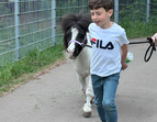Kinder führen ein Pony aus