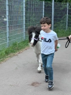 Kinder führen ein Pony aus