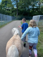 Kinder führen ein Pony aus