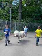 Kinder führen ein Pony aus