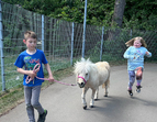 Kinder führen ein Pony aus