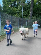 Kinder führen ein Pony aus