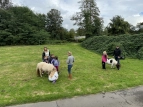 Ponys