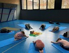 Schüler:innen beim Yoga-Projekt